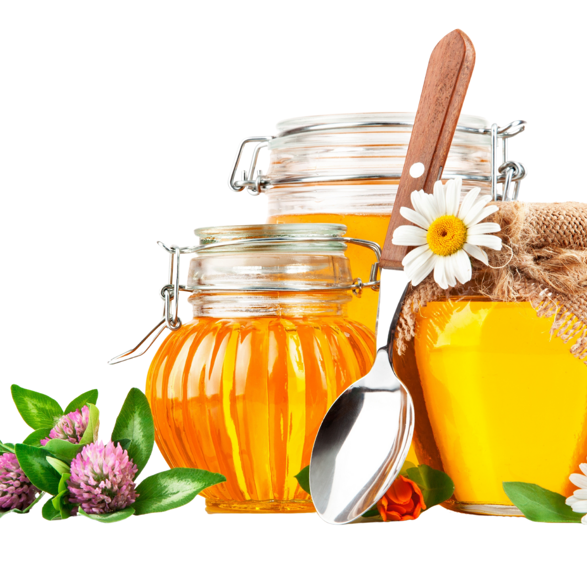 Joreen Brands Jars of honey with a spoon and flowers on a white background