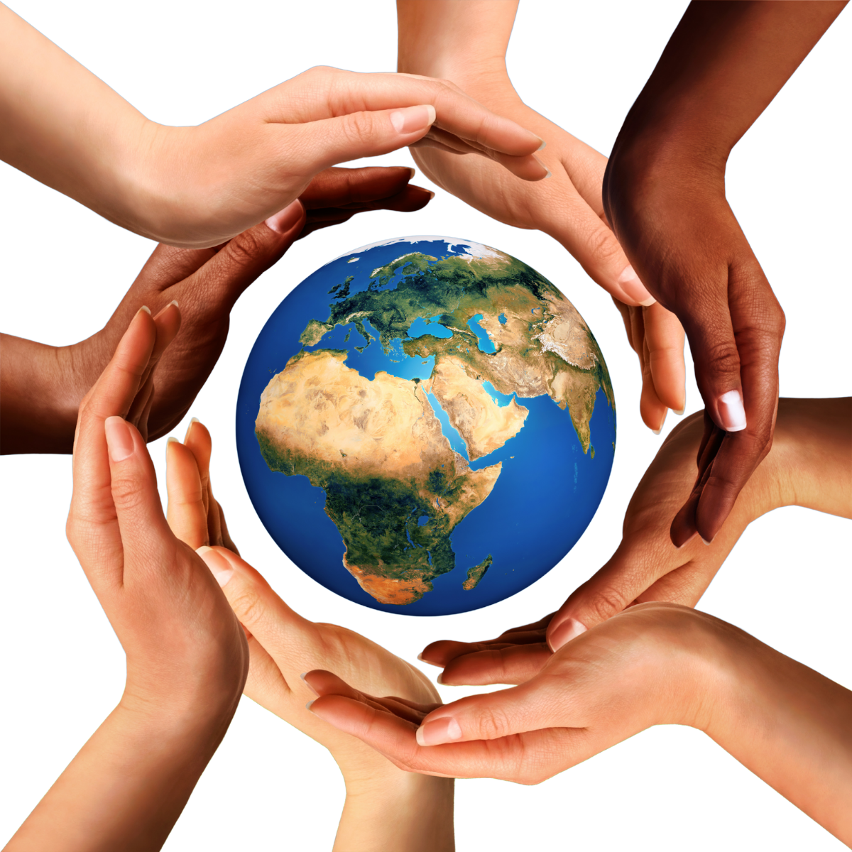 Multicultural hands surrounding a small globe on a white background