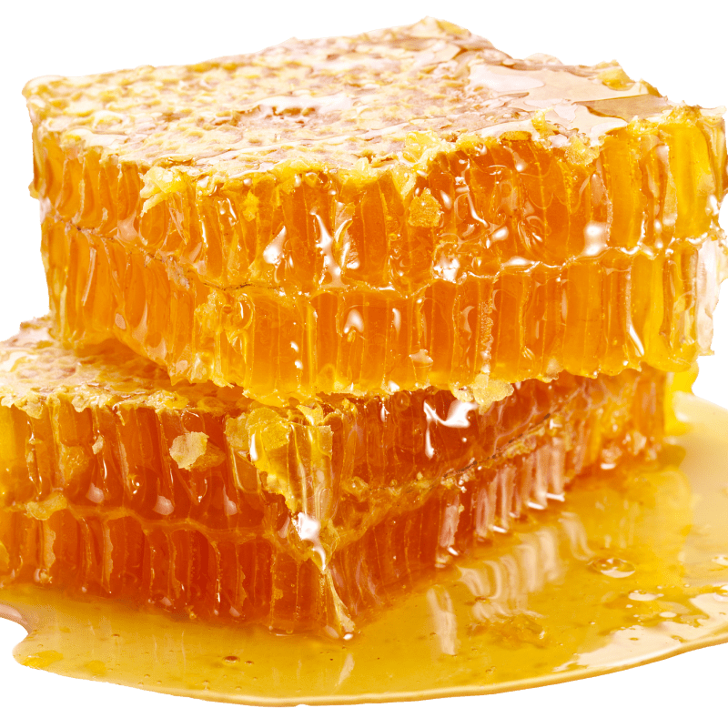Organic Raw Unfiltered Honey from Joreen Brands