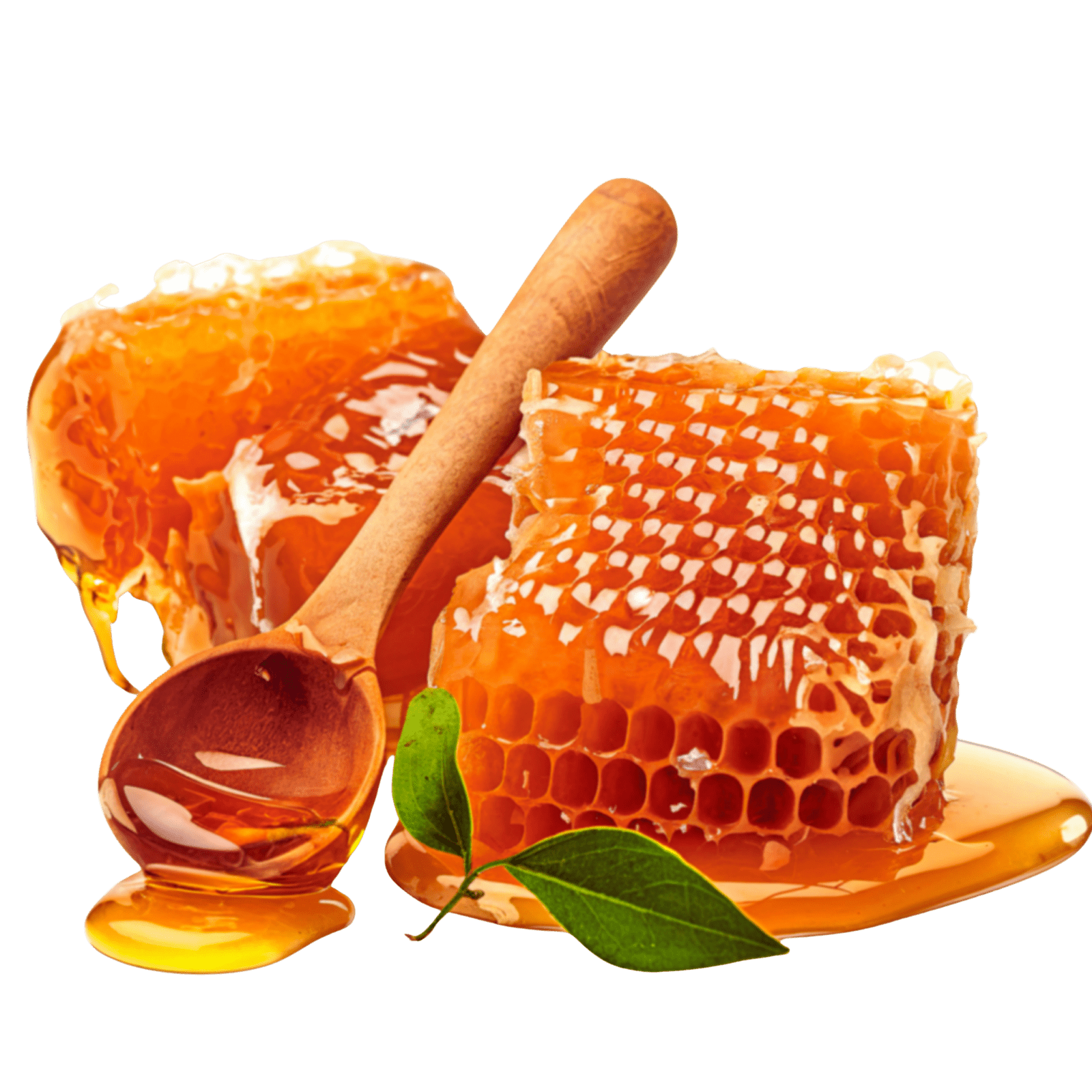 Raw Organic Honey & Superfood Subscriptions