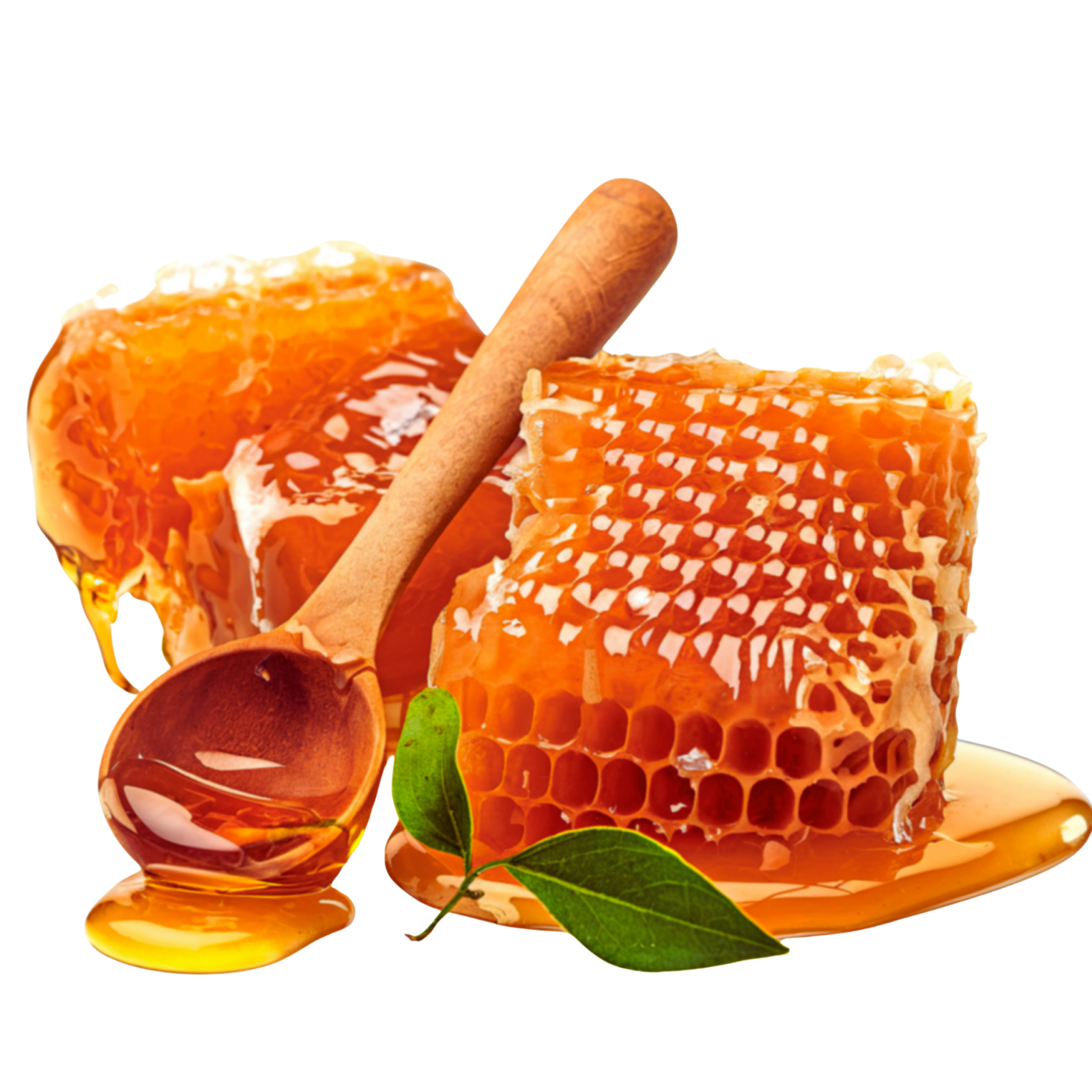 Honeycomb with honey, a wooden spoon, and a green leaf on a white background from Joreen Brands
